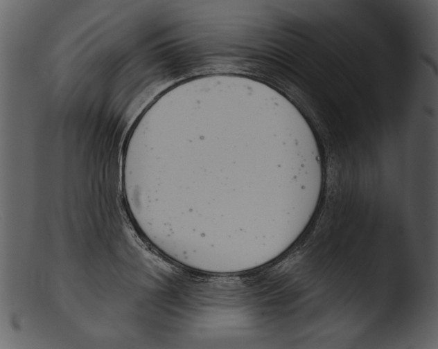 X0000103260844200809261137