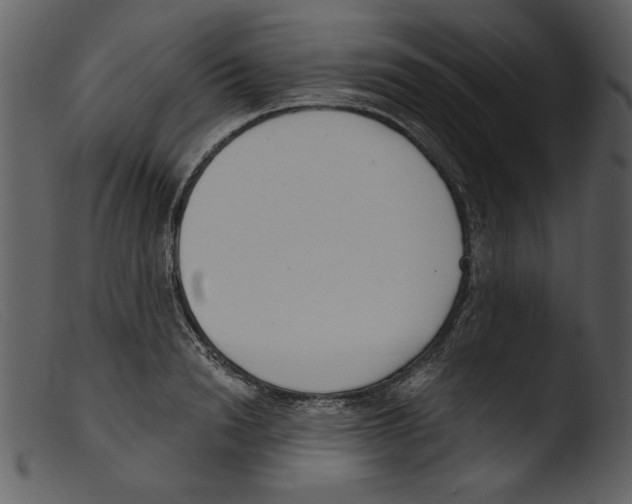 X0000103260846200809261137