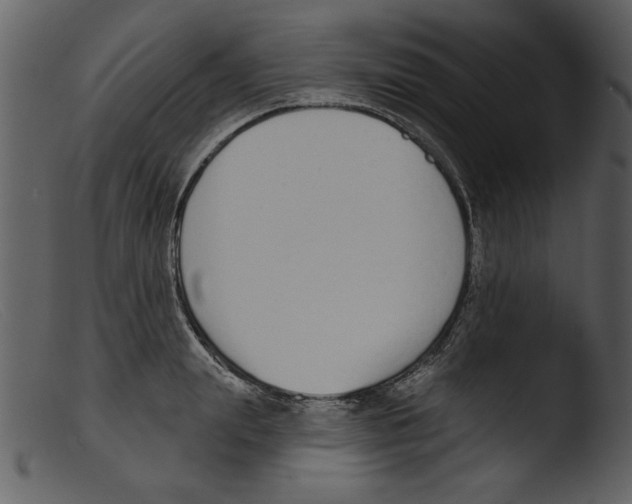 X0000103260847200809261137