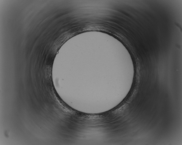 X0000103260849200809261137