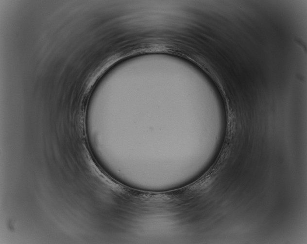 X0000103260851200809261137