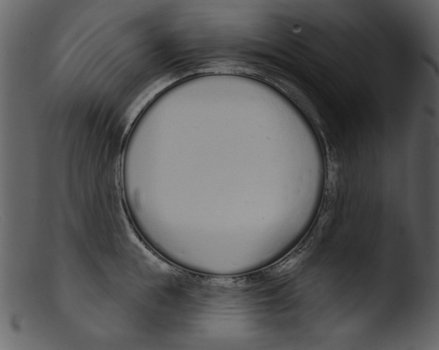 X0000103260855200809261137