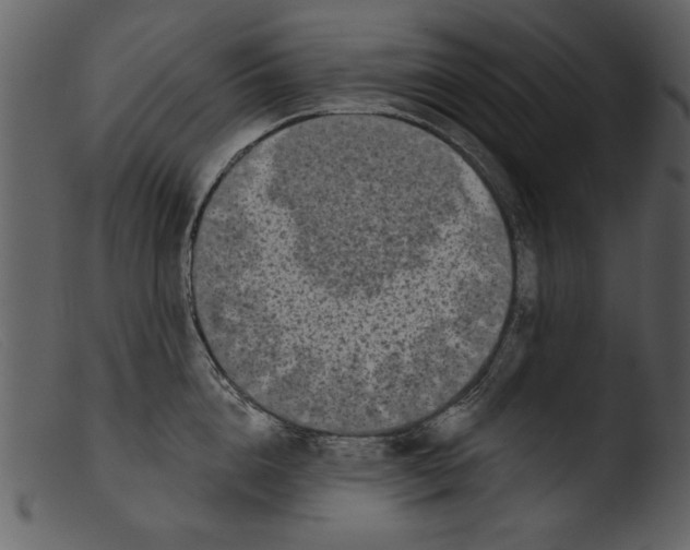 X0000103260856200809261137