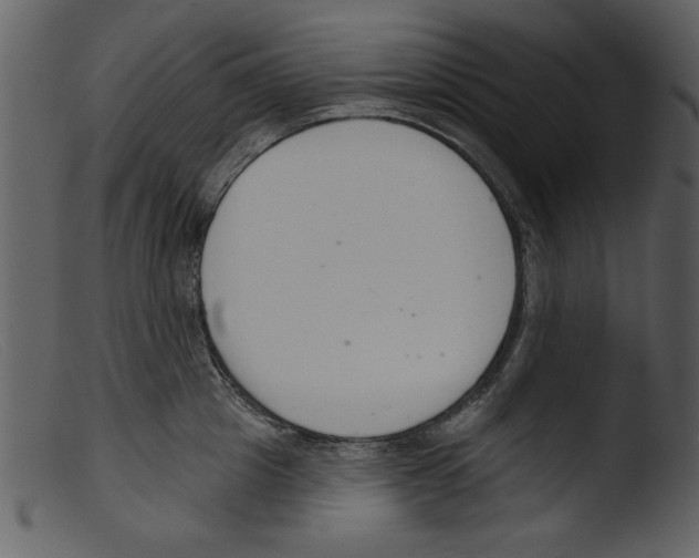 X0000103260857200809261137