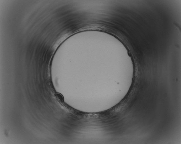 X0000103260858200809261137