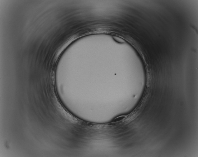 X0000103260859200809261137