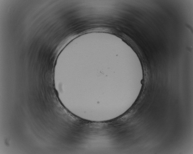 X0000103260860200809261137