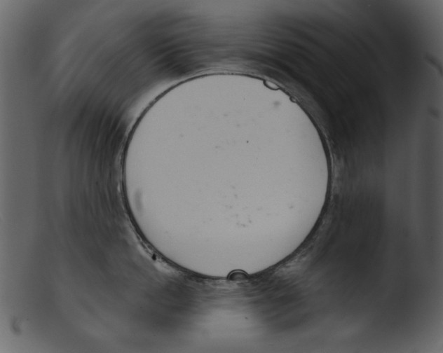 X0000103260862200809261137