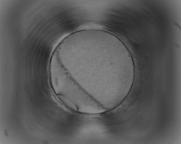 X0000103260864200809261137