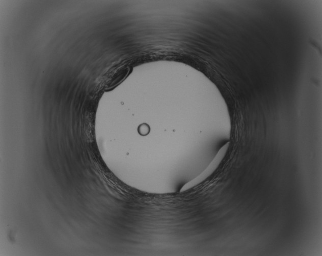 X0000103260868200809261137