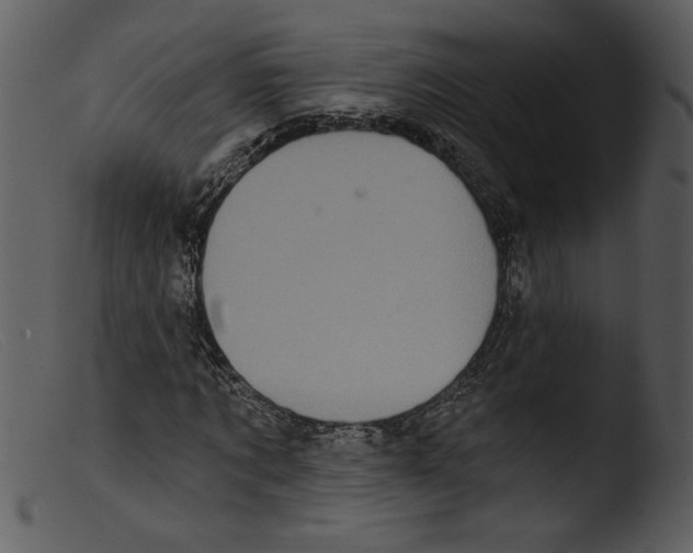 X0000103260869200809261137