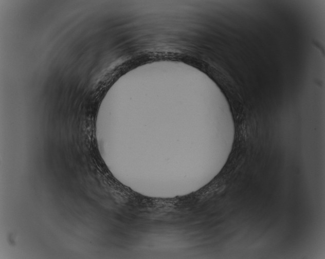 X0000103260870200809261137