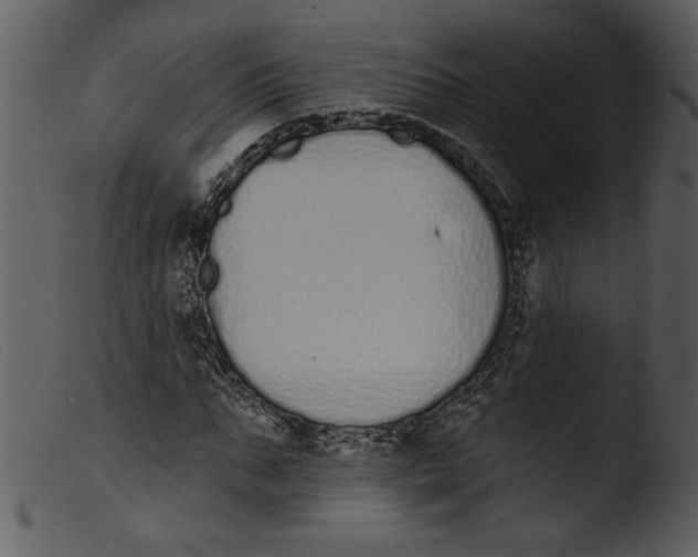 X0000103260871200809261137