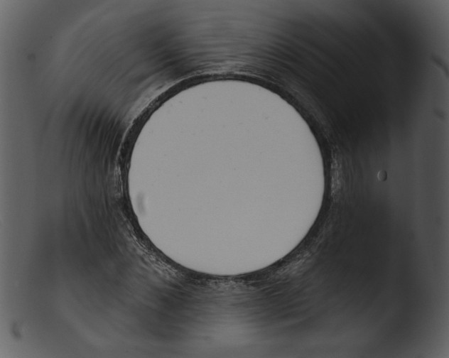 X0000103260876200809261136