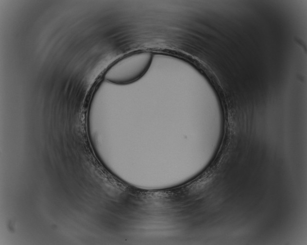 X0000103260879200809261136