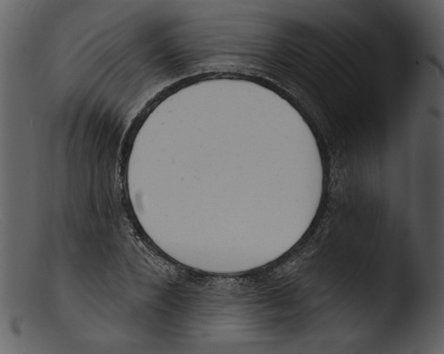 X0000103260880200809261136