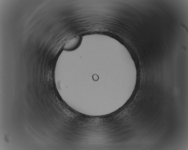 X0000103260881200809261136