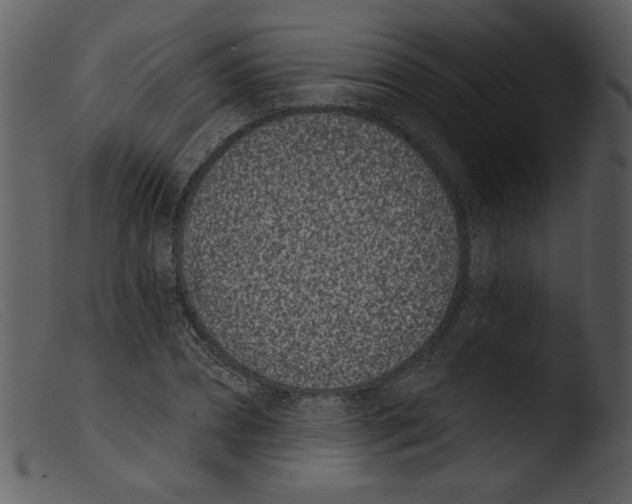 X0000103260882200809261136