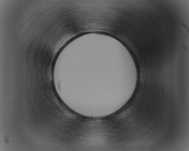 X0000103260885200809261136