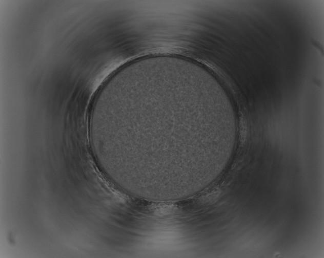 X0000103260886200809261136