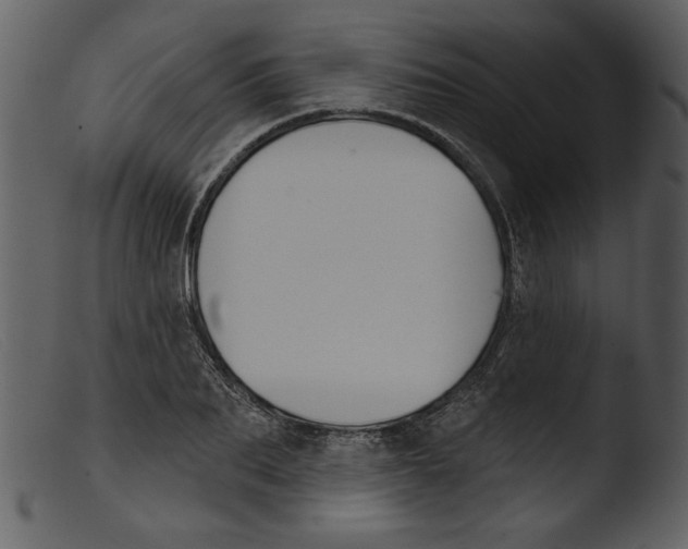 X0000103260887200809261136