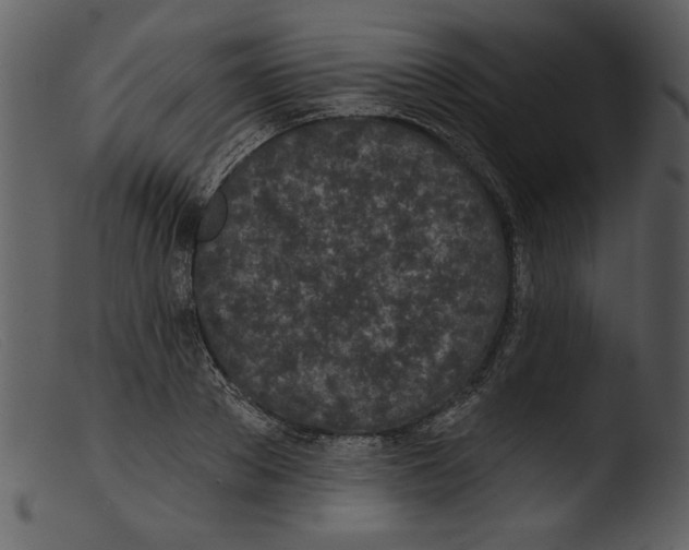 X0000103260889200809261136