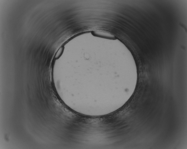 X0000103260892200809261136