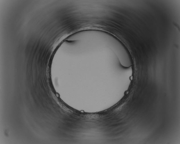 X0000103260893200809261136