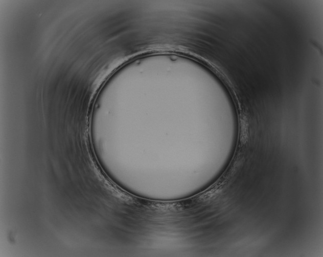 X0000103260895200809261136