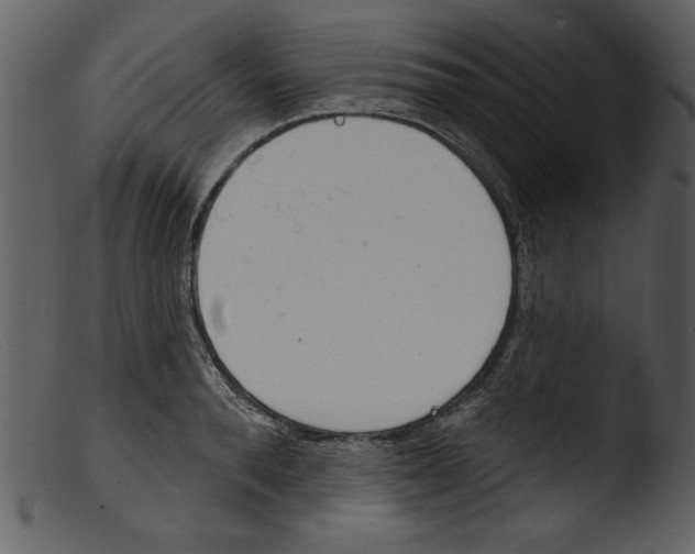 X0000103260896200809261136