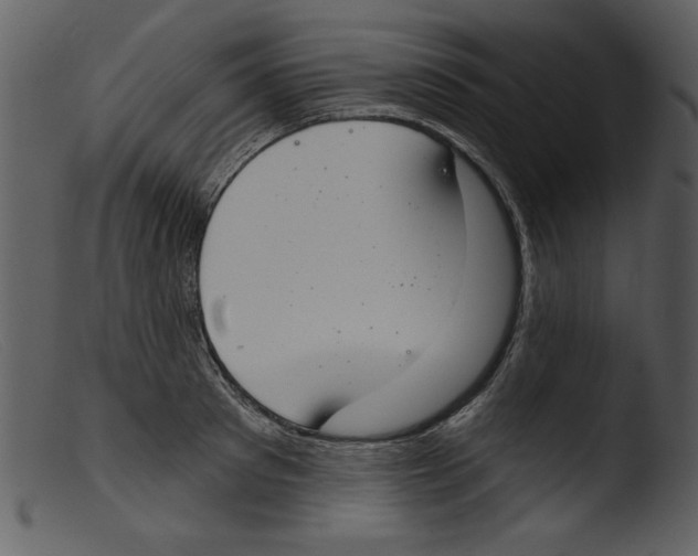 X0000103260897200809261136