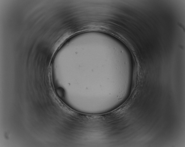 X0000103260899200809261136