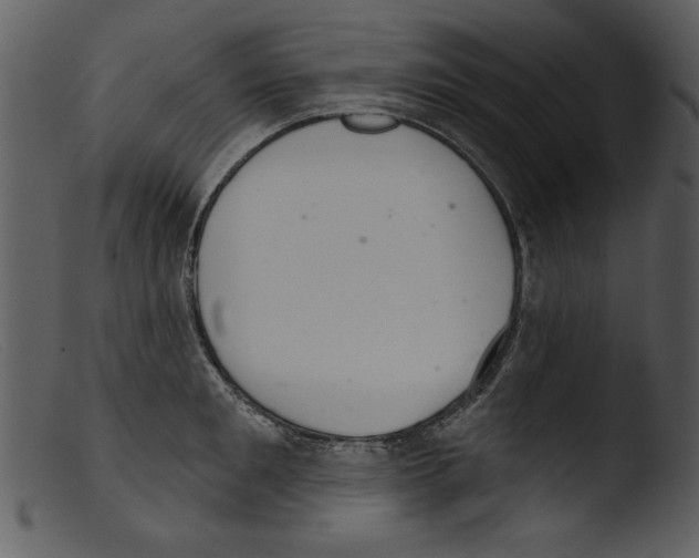 X0000103260901200809261136