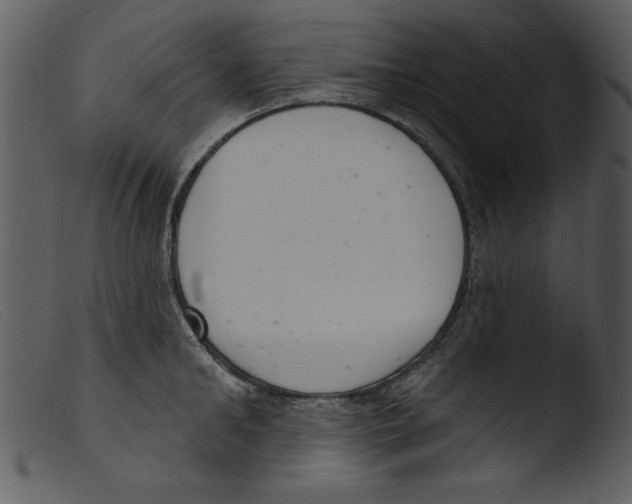 X0000103260902200809261136