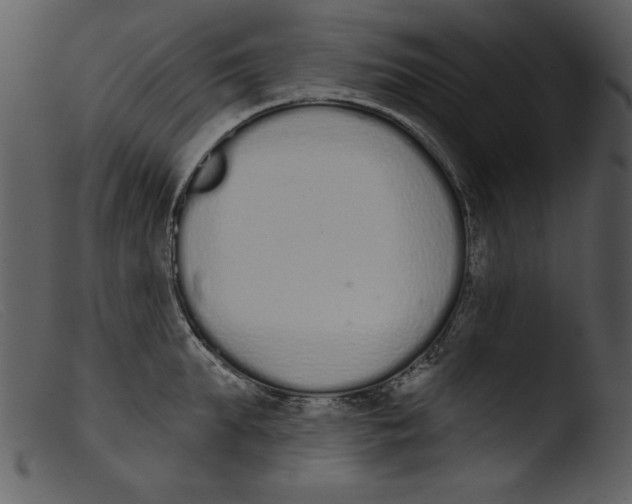 X0000103260903200809261136