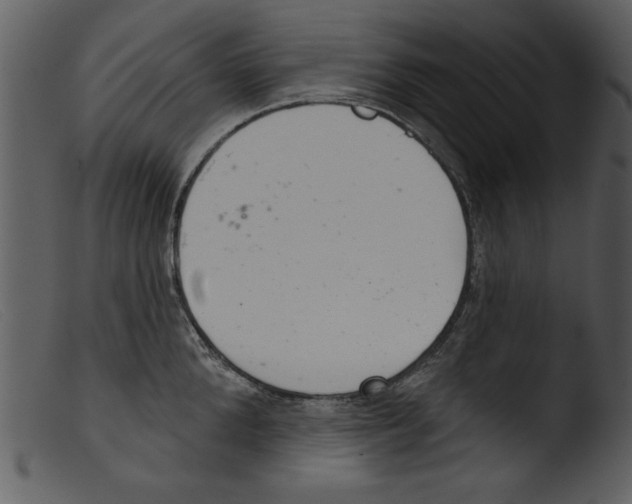 X0000103260904200809261136