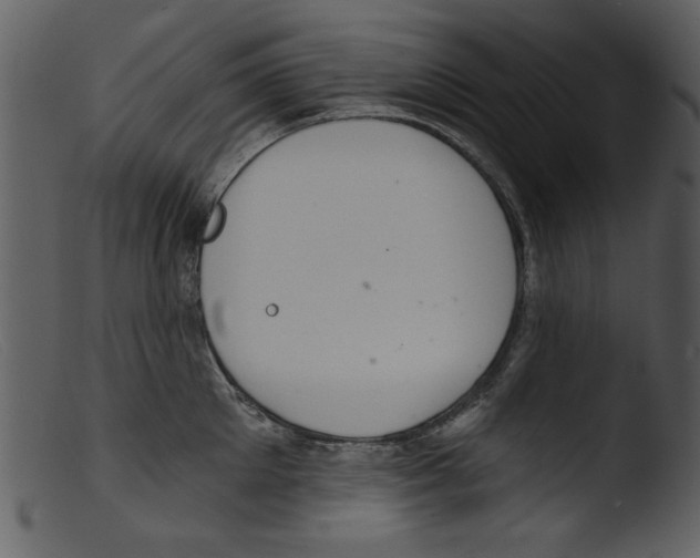 X0000103260905200809261136