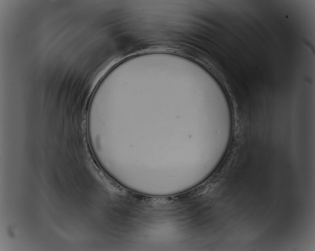 X0000103260907200809261136