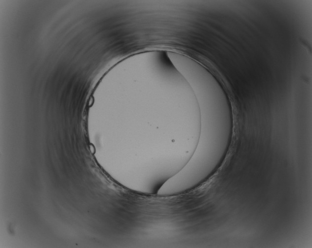 X0000103260908200809261136