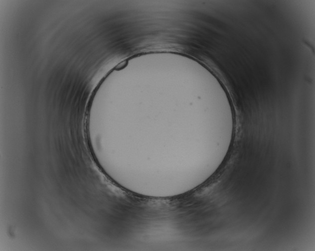 X0000103260909200809261136