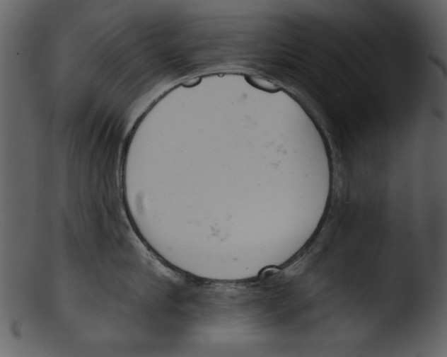 X0000103260910200809261136