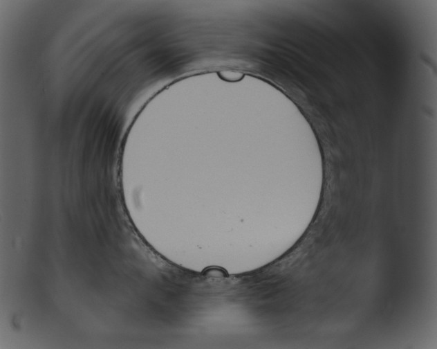 X0000103260912200809261136