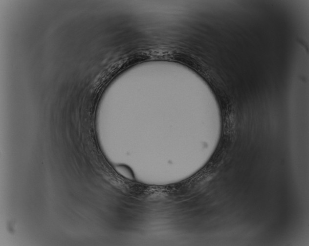 X0000103260913200809261135