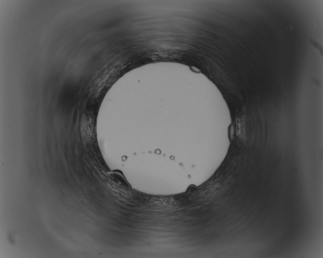 X0000103260915200809261135