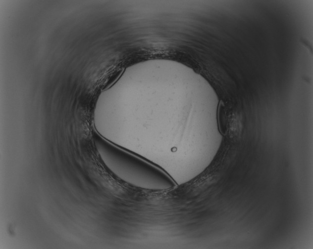 X0000103260916200809261135