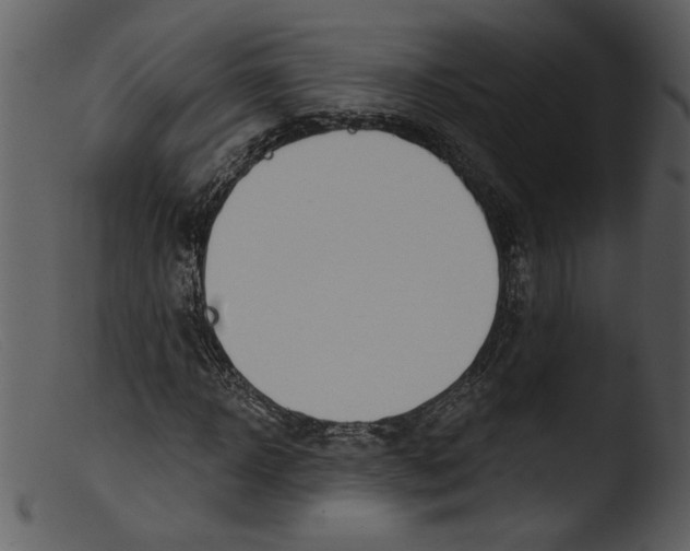 X0000103260918200809261135