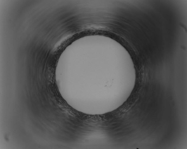 X0000103260919200809261135