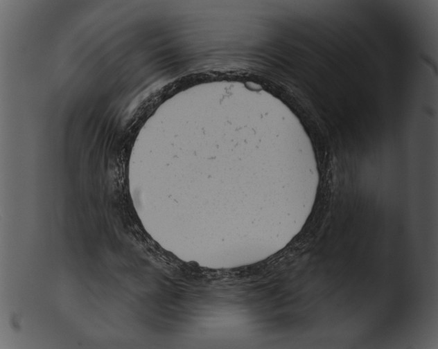 X0000103260920200809261135