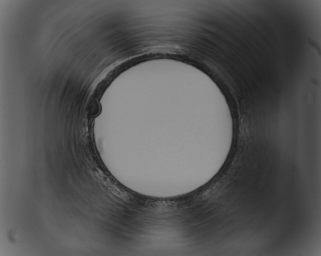 X0000103260923200809261135