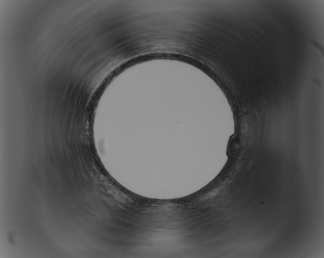 X0000103260926200809261135